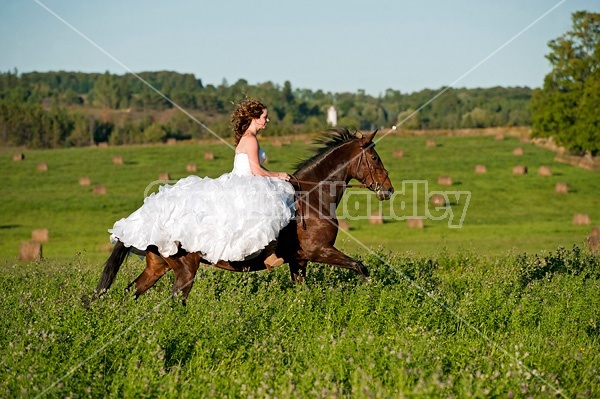 Woman riding horse wearing a wedding dress