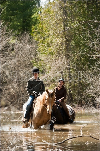 Riding Rocky Mountain Horses