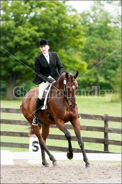 Lanes End Horse Trials