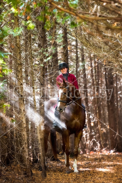 Woman horseback riding in cedar forest in dramatic light