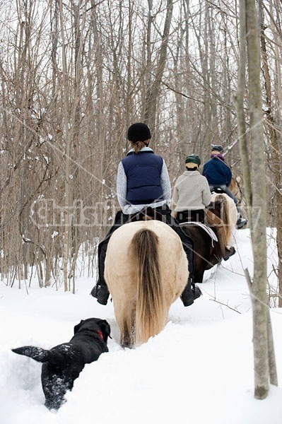 Horseback riding in the snow in Ontario Canada