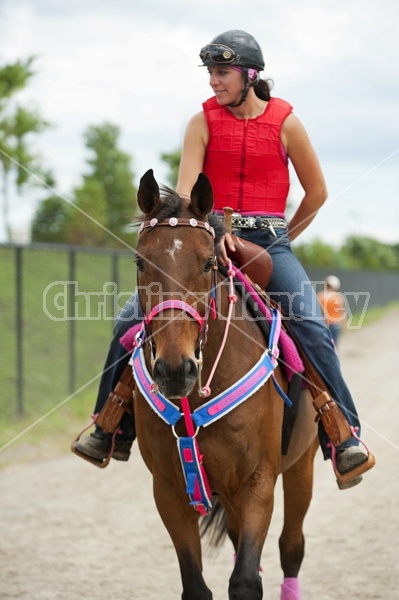 Quarter Horse Racing at Ajax Downs