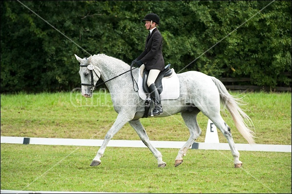 Lanes End Horse Trials