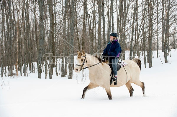 Horseback riding in the snow in Ontario Canada