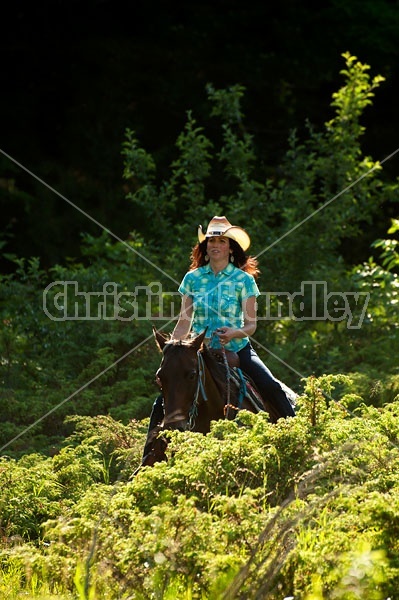 Woman trail riding on Standardbred mare