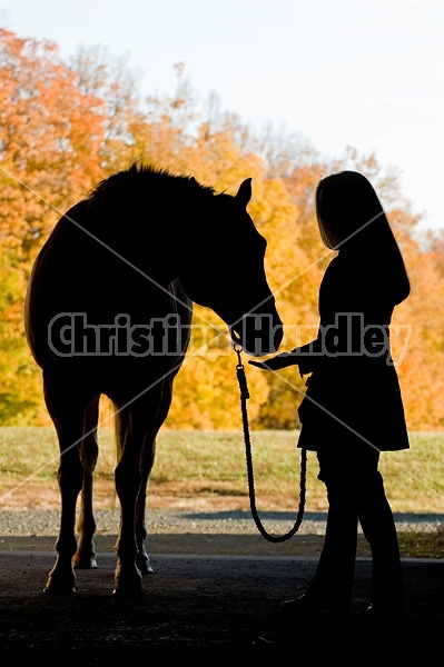 Silhouette of woman and horse in barn door