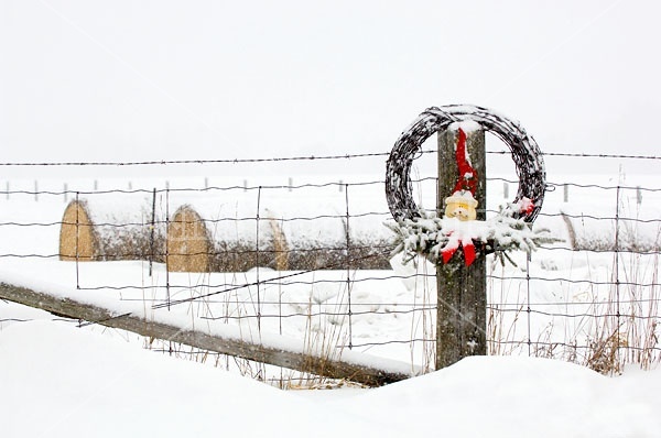 Barbed Wire Wreath hanging on Fence