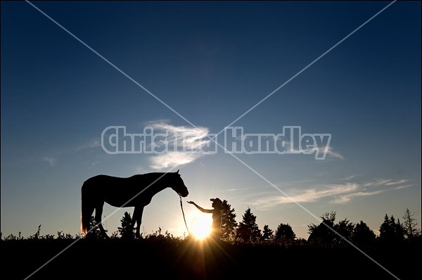 Silhouette of girl and horse