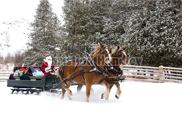 Santa Claus driving sleigh