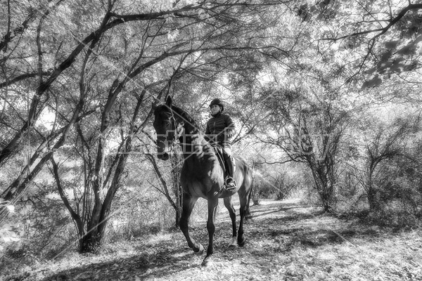 Woman horseback riding through magical forest with over hanging trees