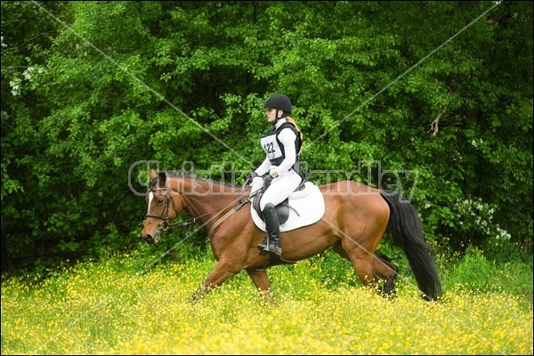 Horse Trials