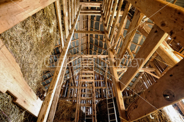 Looking up at the view inside an old barns hayloft