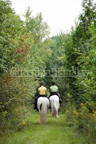 Two women riding Gypsy Vanner horses