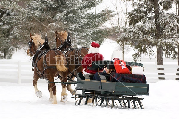 Santa Claus driving sleigh