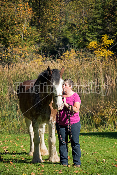 Portrait of a woman with her Clydesdale draft horse