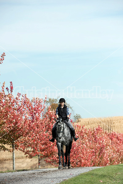 Young woman riding gray horse in the autumn colors