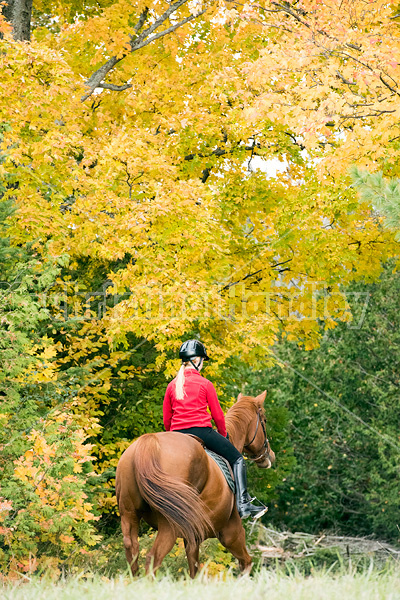 Young girl horseback riding through the autumn colored forest