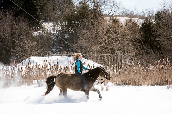 Young woman riding a horse bareback through deep snow