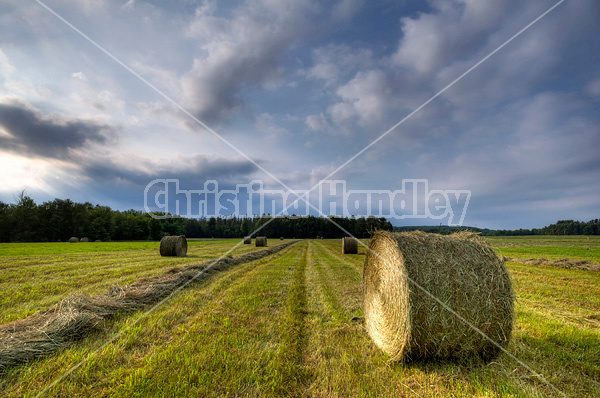 Round bale of hay in field