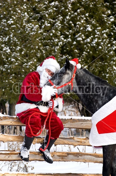 Santa Claus and his Horse