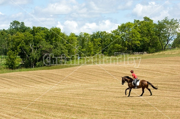 Woman horseback riding in field