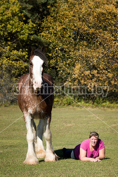 Portrait of a woman with her Clydesdale draft horse