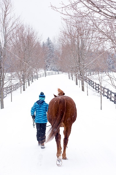 Young girl leading horse down a snowy driveway