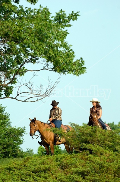 Young couple horseback riding