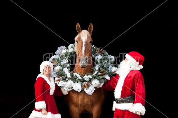 Santa Claus and Mrs Claus standing with a Belgian draft horse with a Christmas wreath over its head.