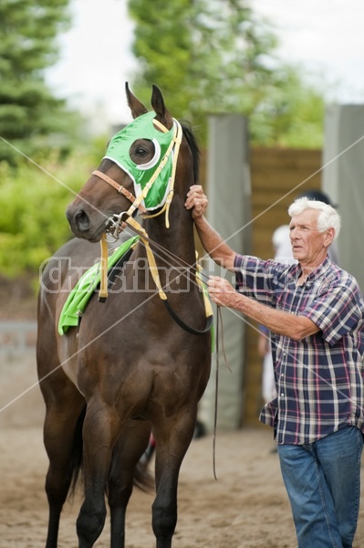 Quarter Horse Racing at Ajax Downs