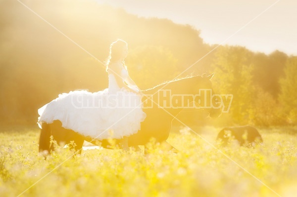 Woman riding horse wearing a wedding dress