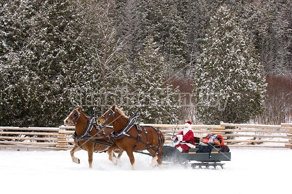 Santa Claus driving sleigh