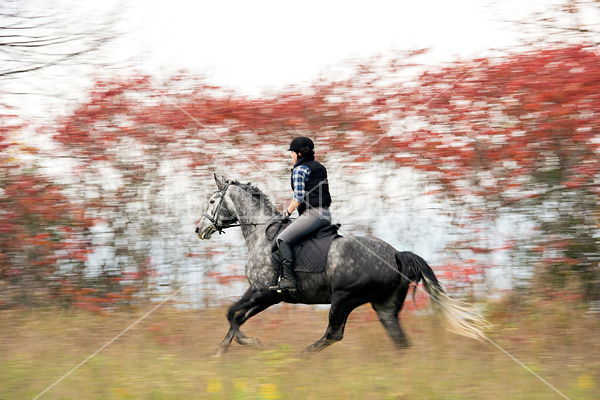 Woman riding gray horse
