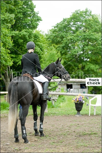 Horse Trials