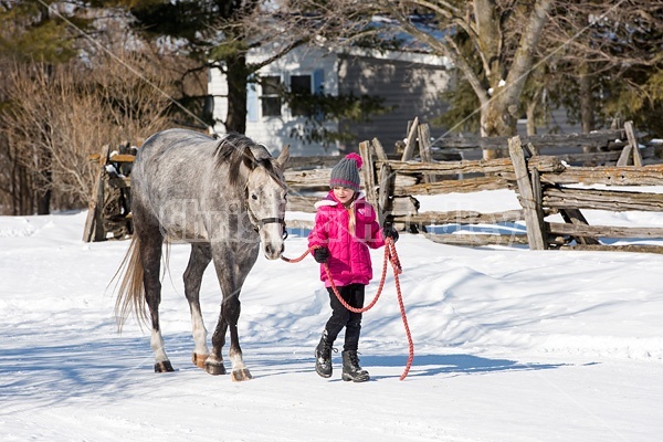 Young girl leading horse