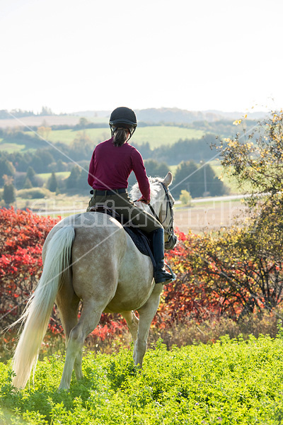 Young woman riding palomino horse