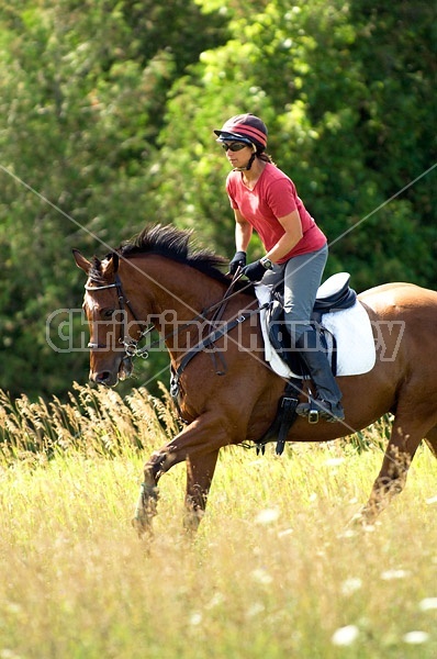 Woman horseback riding in field