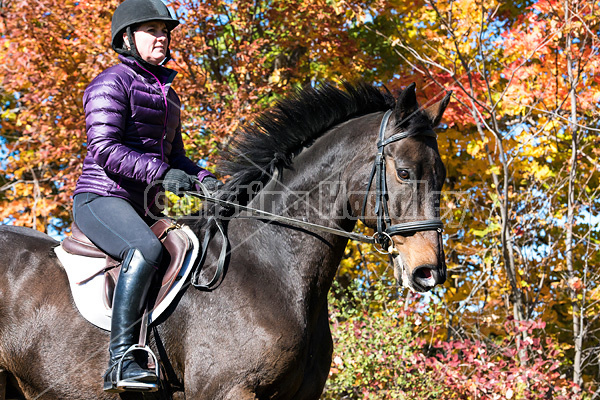 Woman horseback riding in field in the autumn of the year with colored leaves in the background