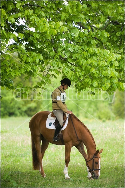 Horse Trials