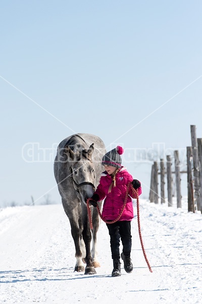 Young girl leading horse