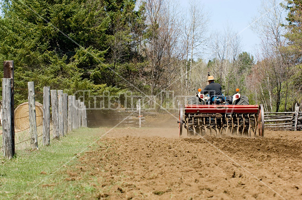 Man driving tractor pulling a seed drill planting oats