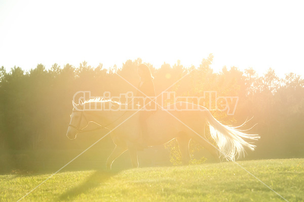 Woman riding a palomino horse