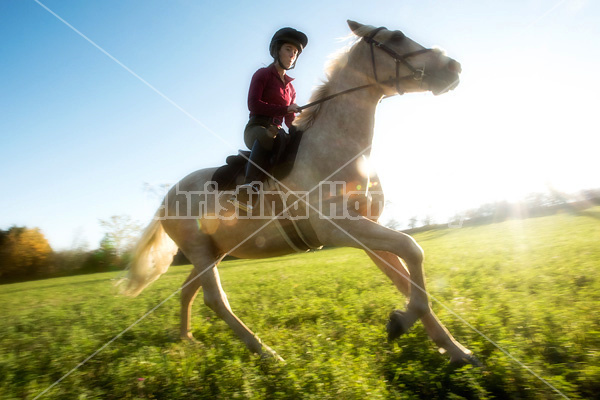 Young woman riding palomino horse