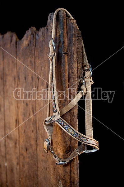 Halter hanging on stall door