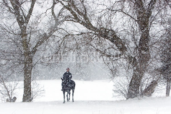 Woman horseback riding in the winter