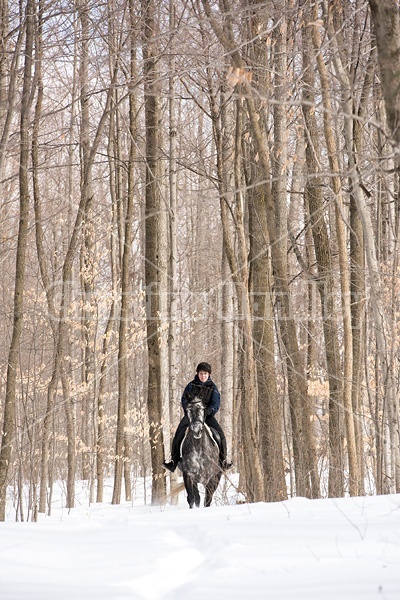 Woman riding Hanoverian mare in deep snow