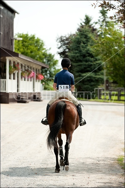 Hunter Jumper Show at Blue Star Farm