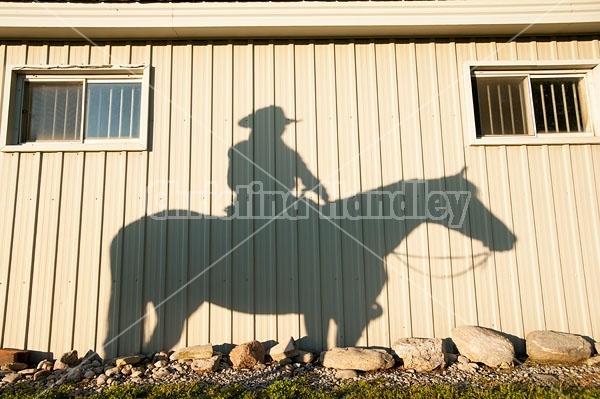 Shadow of woman and western horse on the side of barn