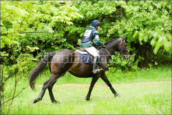 Killusty Horse Trials Fenelon Falls Ontario Canada