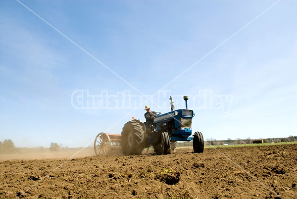 Man driving tractor pulling a seed drill planting oats